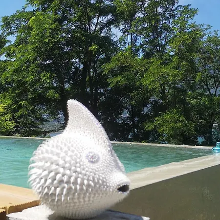 Tiny-house-pool-lake فندق-كبسولة لو فيفيي دو لاك